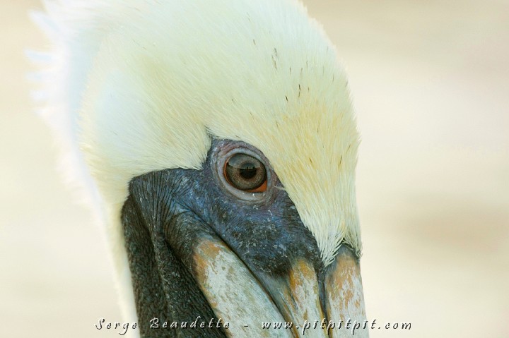 2009-01-10 17-16-48__MG_2567.JPG